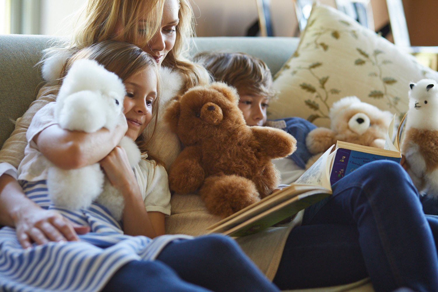 Lacorine's Luxury Teddy Bear Collection