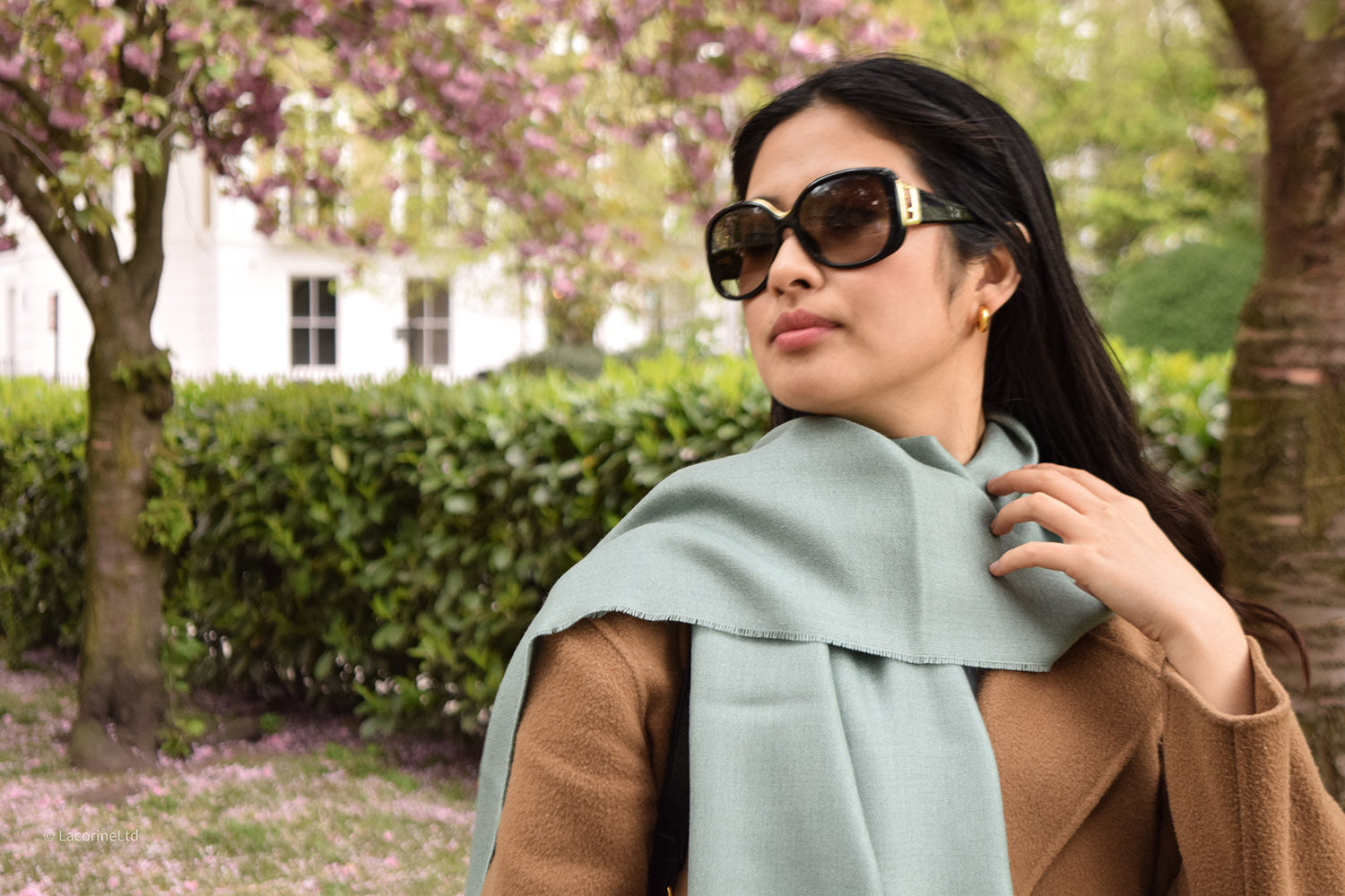 Lacorine Signature Pashmina