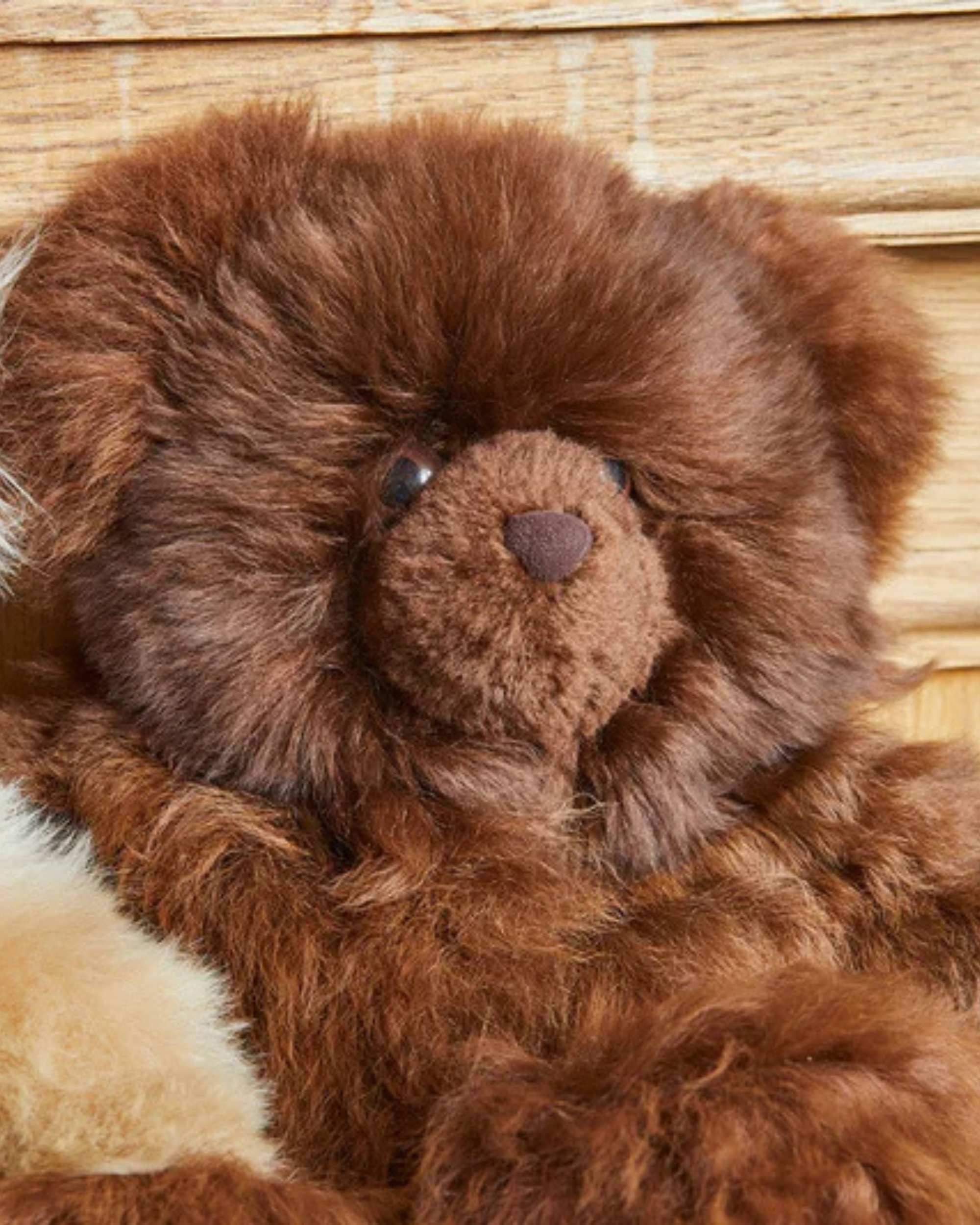 Limited Edition Rocco Teddy Bear in Chestnut Brown - Lacorine Luxury Sustainable Alpaca