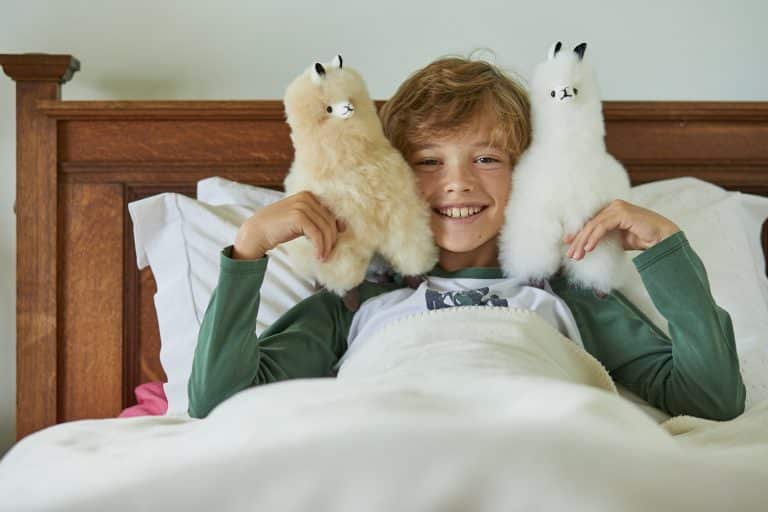 Alpaca Collectible  in White - Lacorine Luxury Sustainable Alpaca