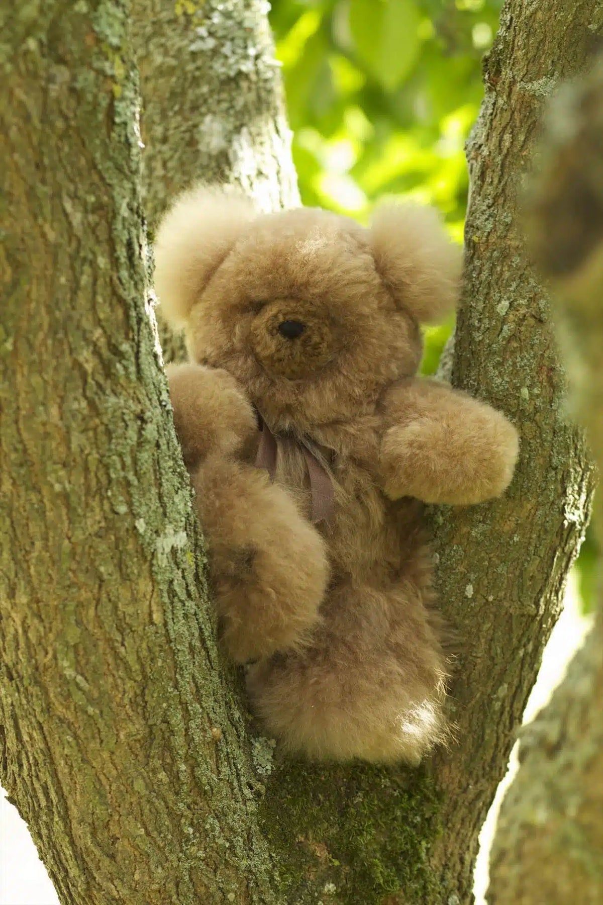 Lacorine Super Luxe Corinne alpaca fur teddy bear in coco color, plush and soft, perfect for luxurious gift-giving.