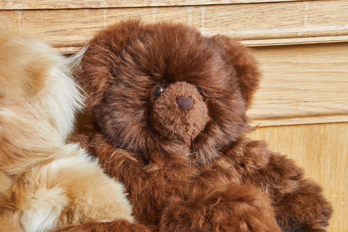 Lacorine limited edition Rocco teddy bear in chestnut brown with soft plush fur and realistic bear features.