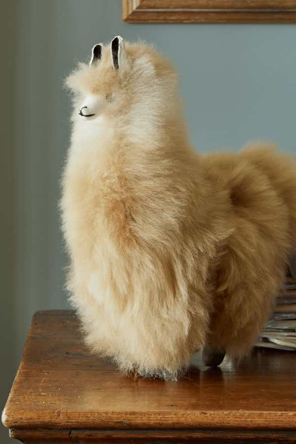 Baby Alpaca Fur Collectable – Marbled Fudge
